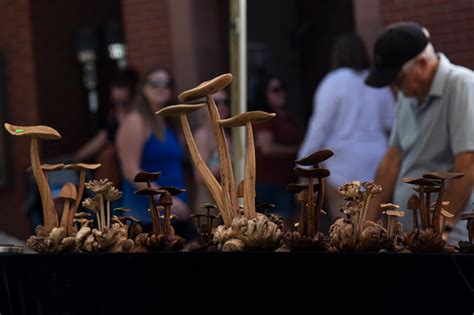 Colorado’s first Psychedelic Cup celebrates mushroom home growers